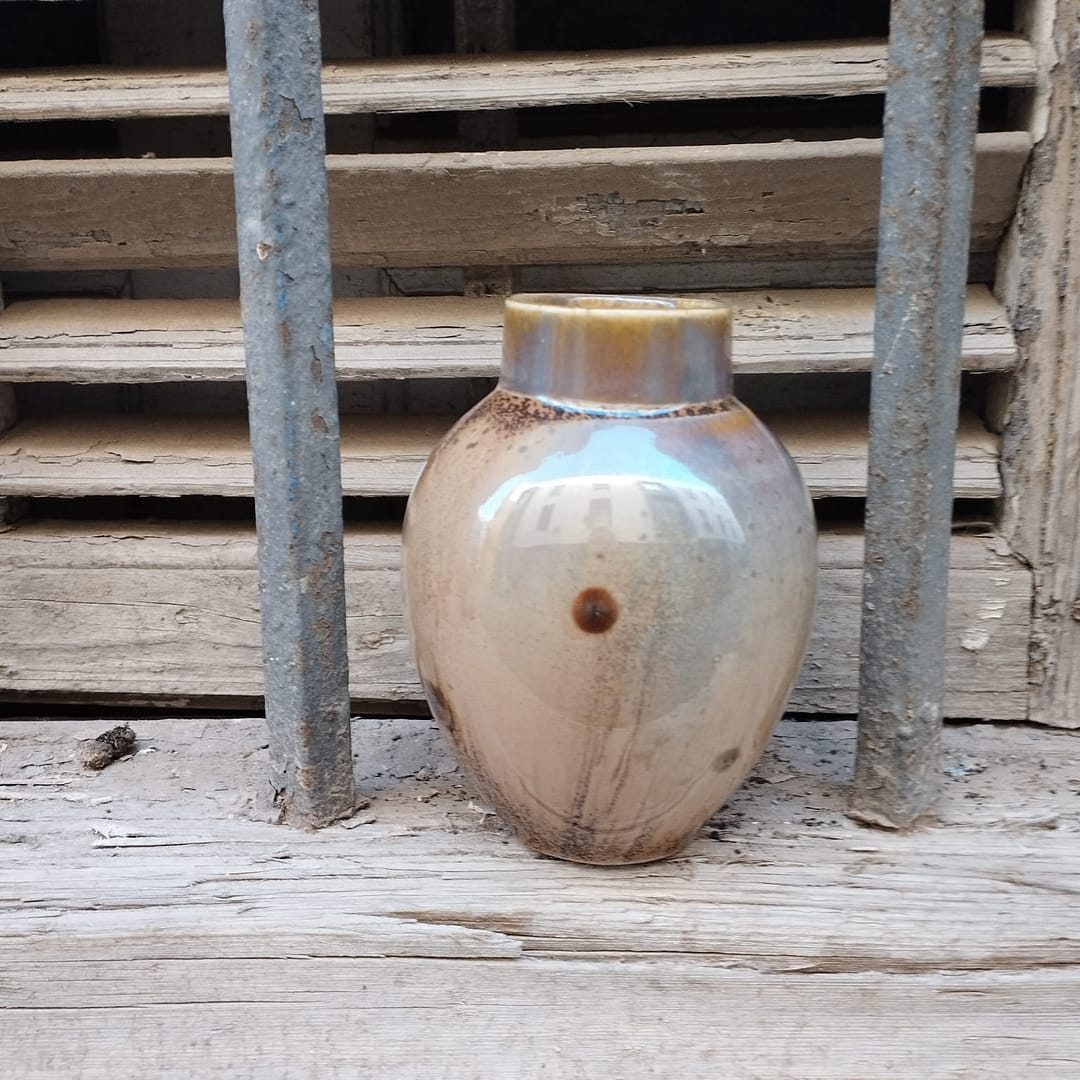 Jarrón Porcelana Fondo Tierra