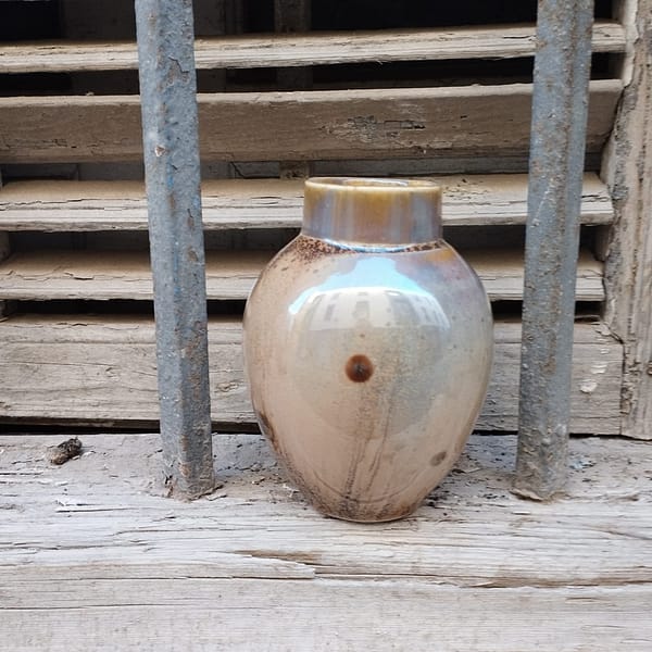 Jarrón Porcelana Fondo Tierra